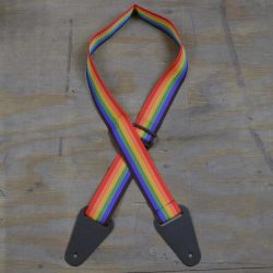 Rainbow Webbing with Heavy Duty Leather Ends Guitar Strap